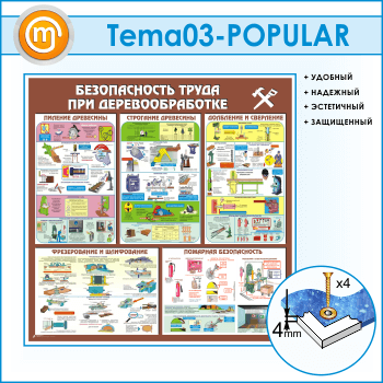 ����� ������������� ����� ��� ��������������� (TM-03)